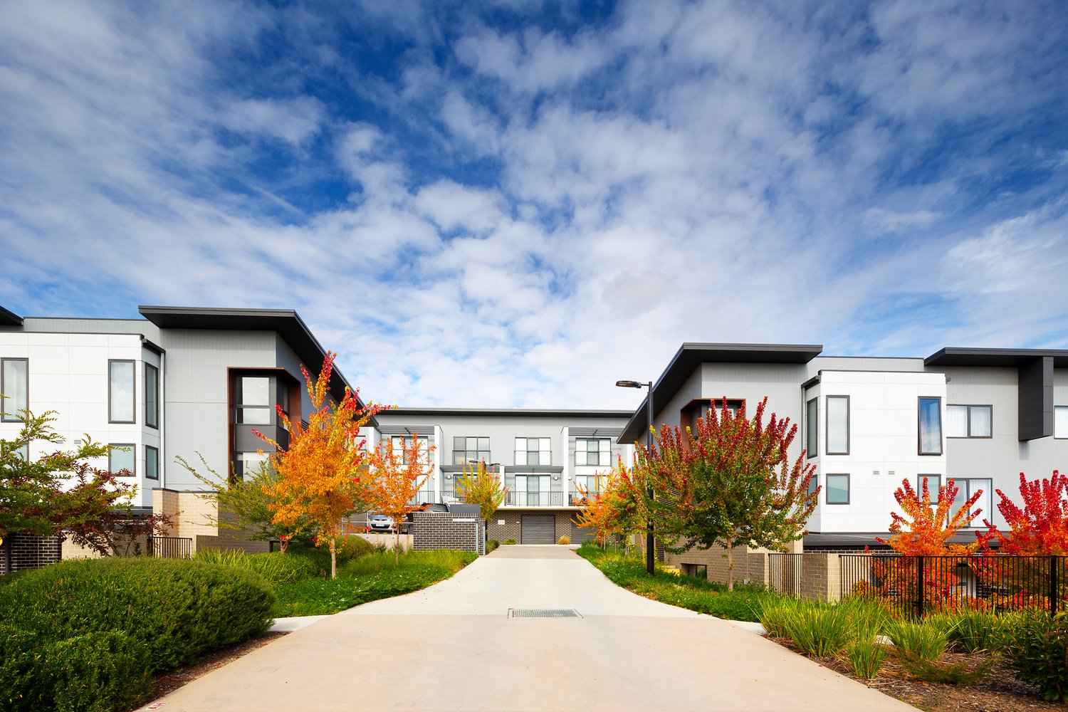 Elio Estate - Denman Prospect