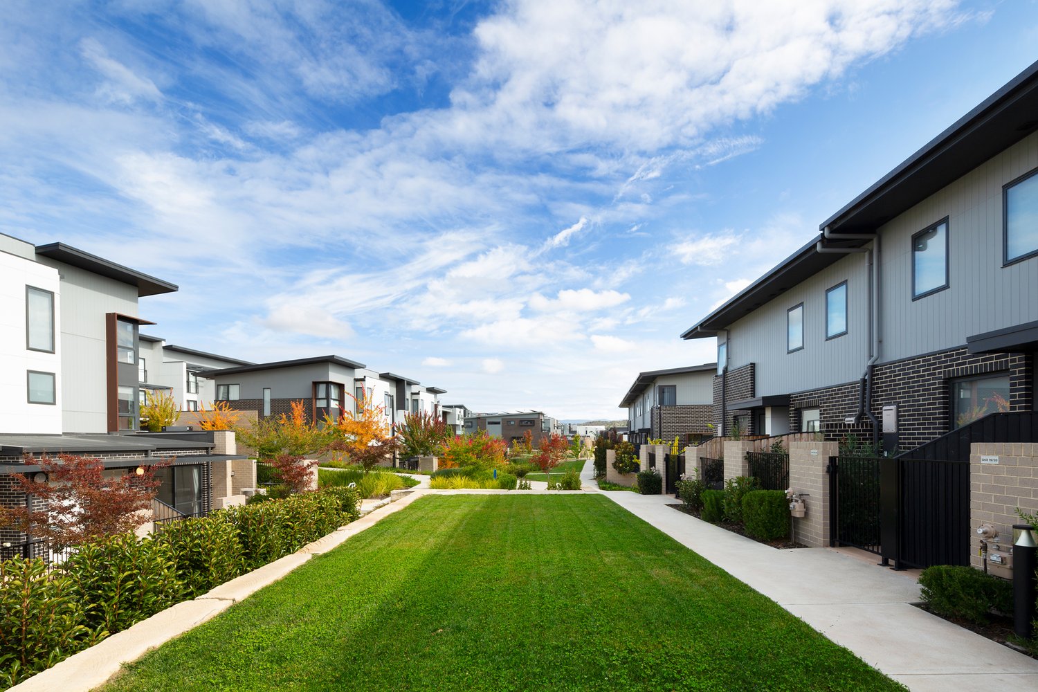 Elio Estate - Denman Prospect
