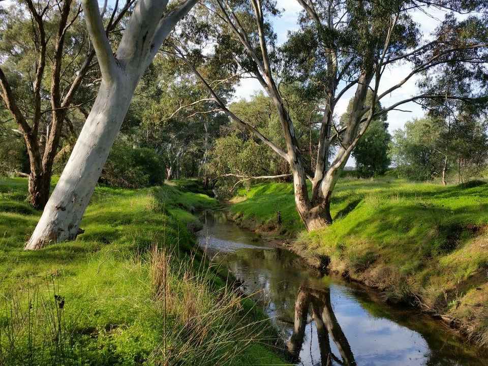 Eureka Estate - Jackass Flat Park