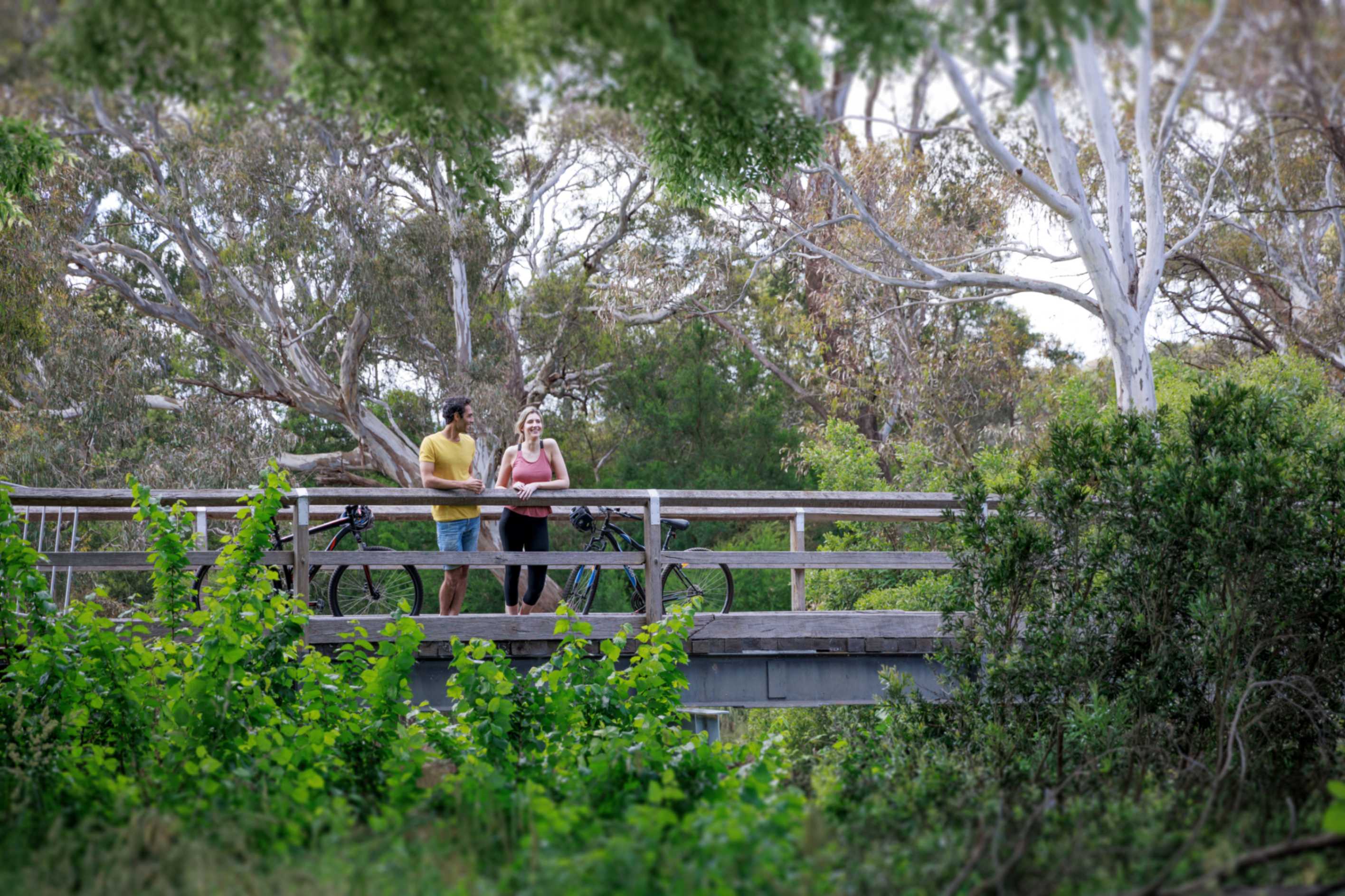 Everley Estate - Sunbury Park