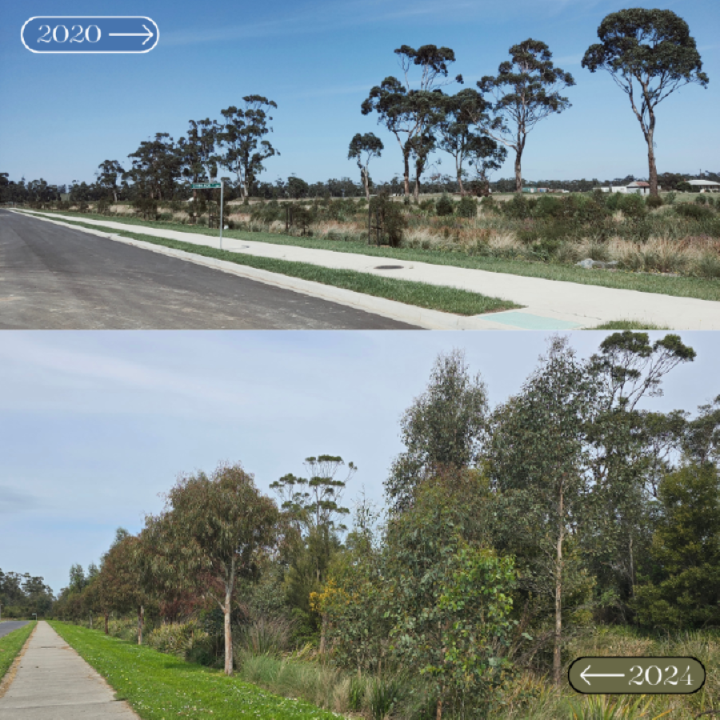 Ferntree Ridge Estate - Drouin