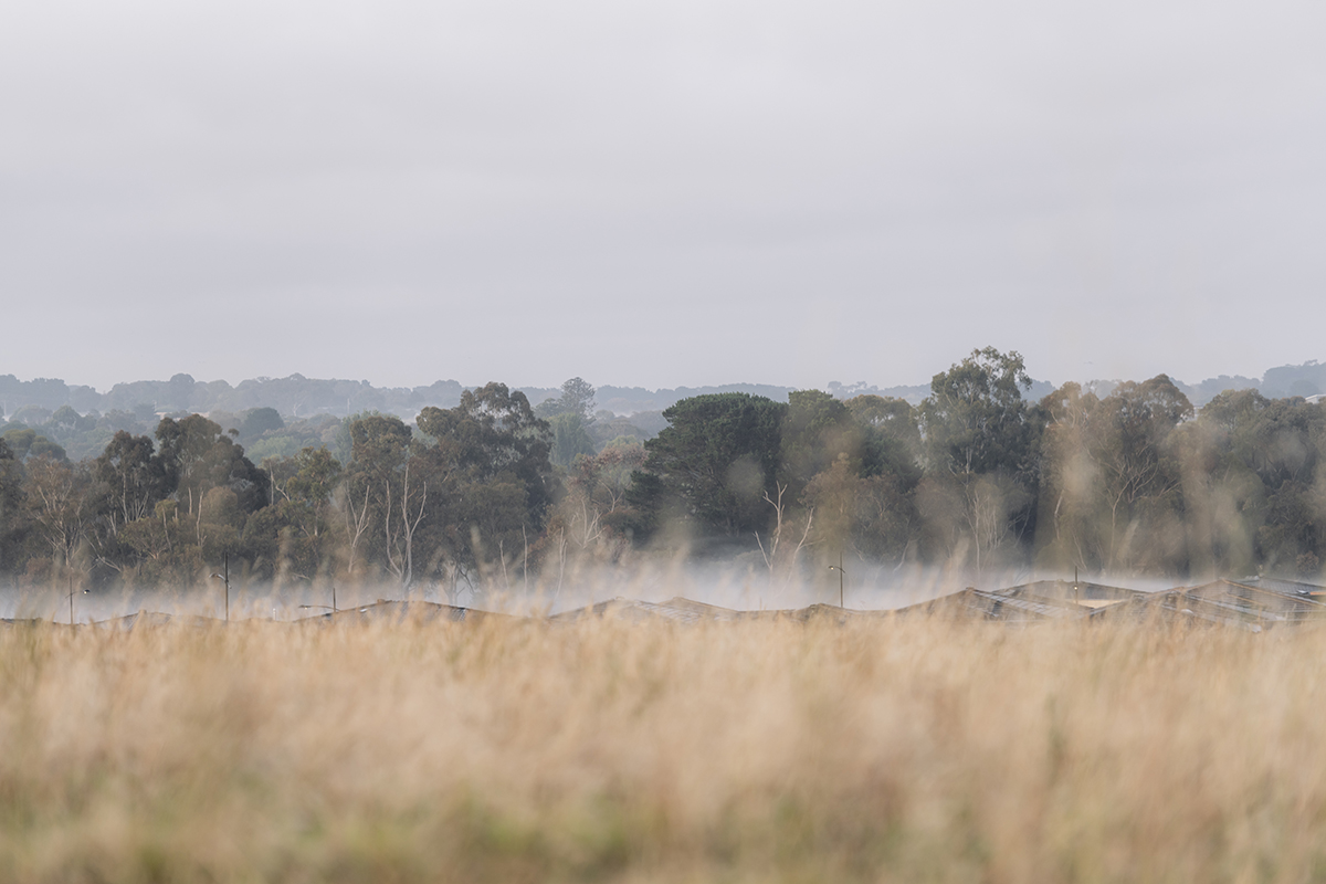 Flinders View Estate - Drysdale 