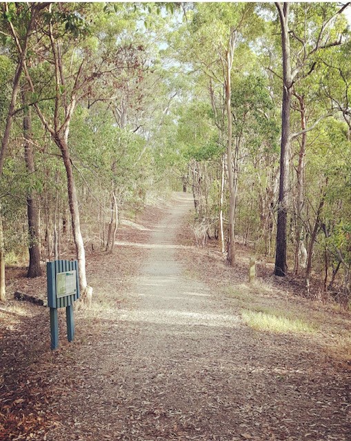 Flora on Foxton Estate - Morningsid Lifestyle