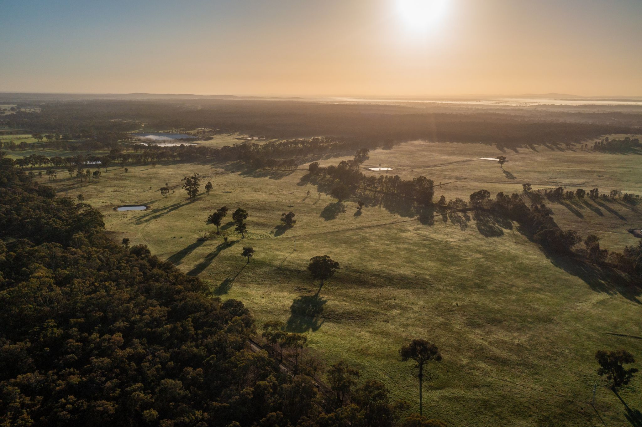 Frawleys Paddock Estate - Axe Creek 