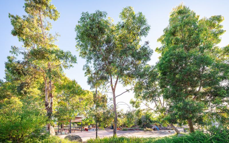 Gallery Estate - Willagee