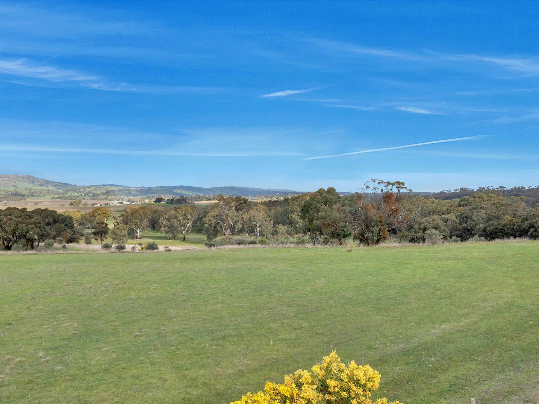 Gilbert-s Hill Estate - Lyndoch