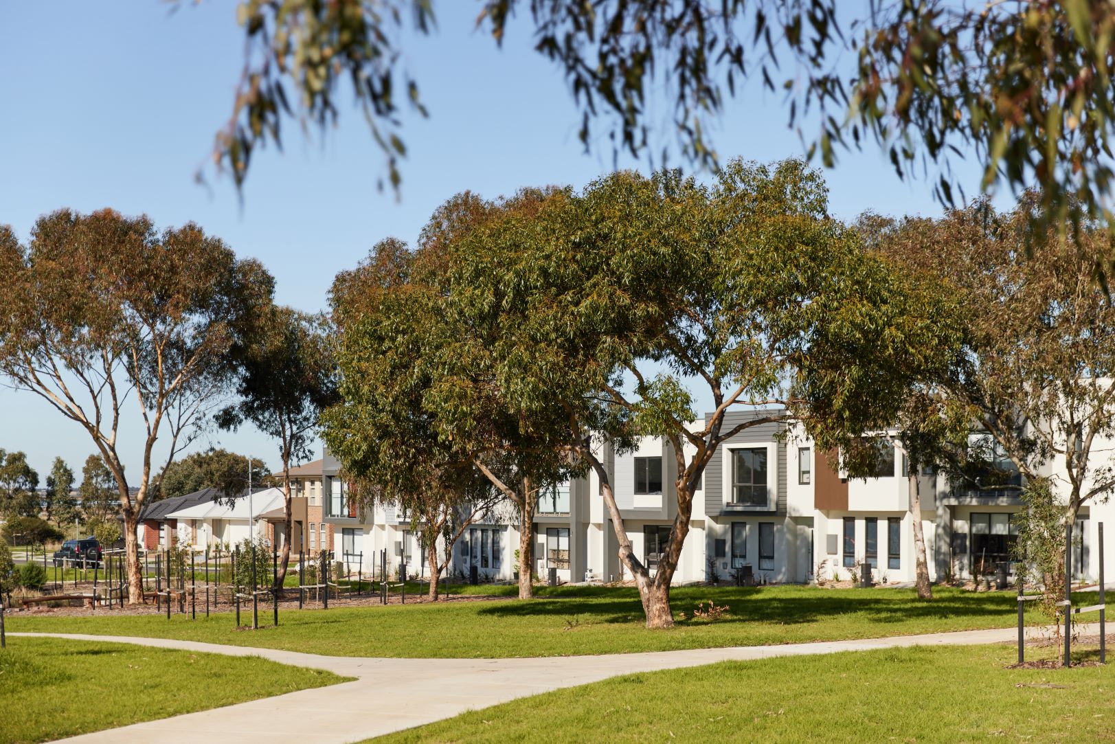 Glenlee Armstrong Creek Estate - Charlemon Streetscape