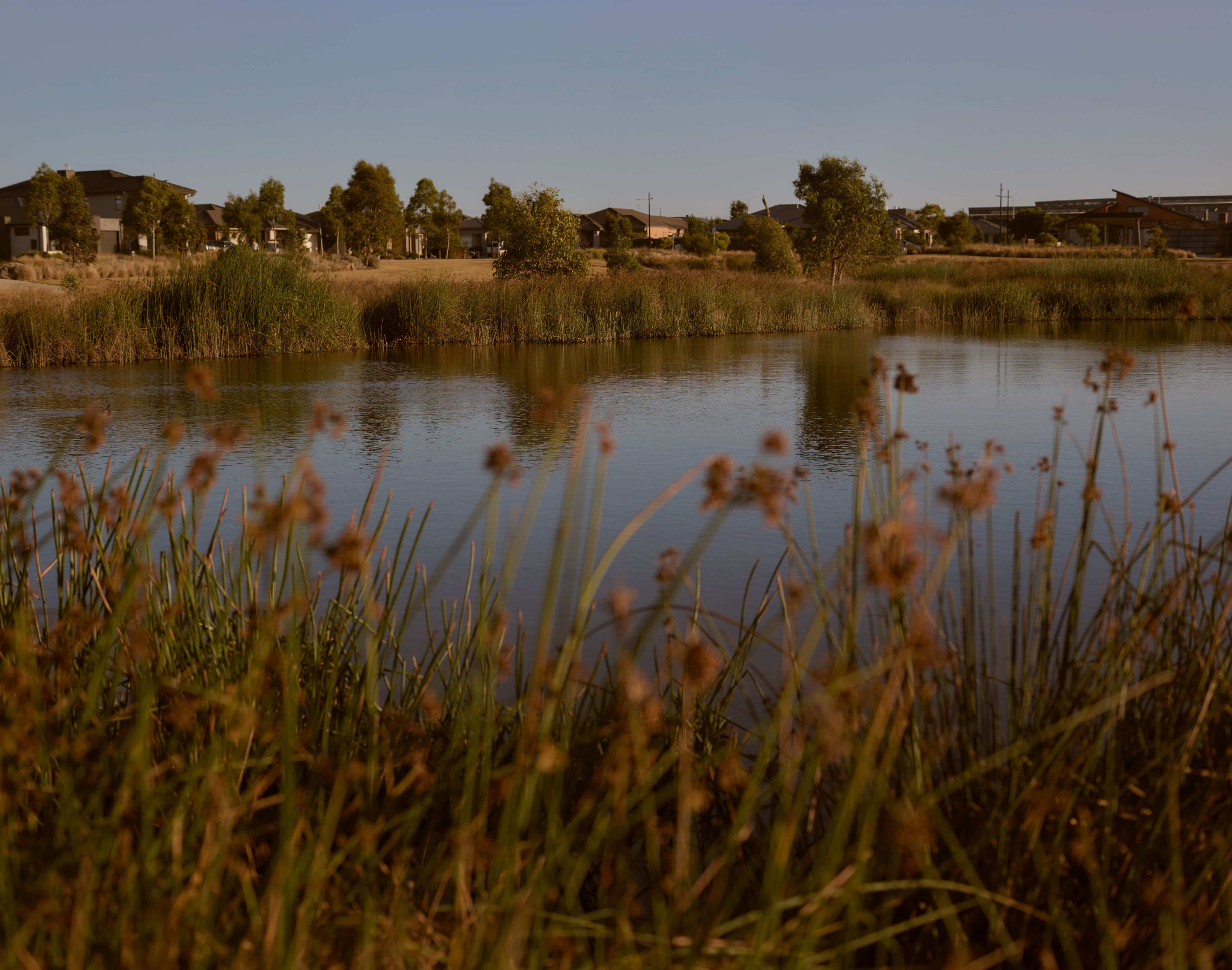 Glenvill Homes at Ashbury Estate – Horizon Release - Armstrong Creek 