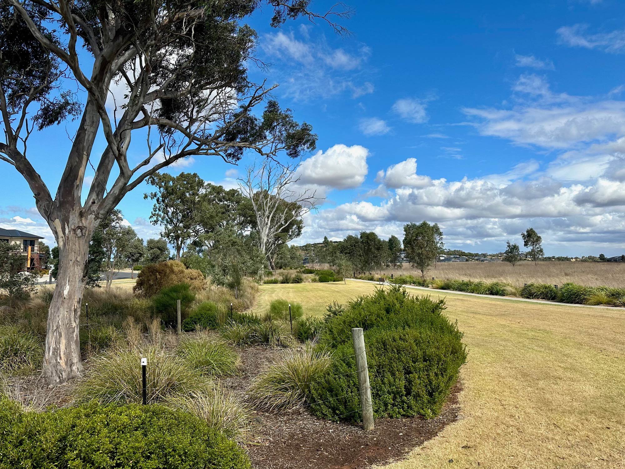 Glenvill Homes at Rosenthal Estate --- Harpers Release - Sunbury