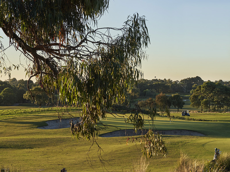 Glenvill Homes on Centre Road- Alira - Berwick