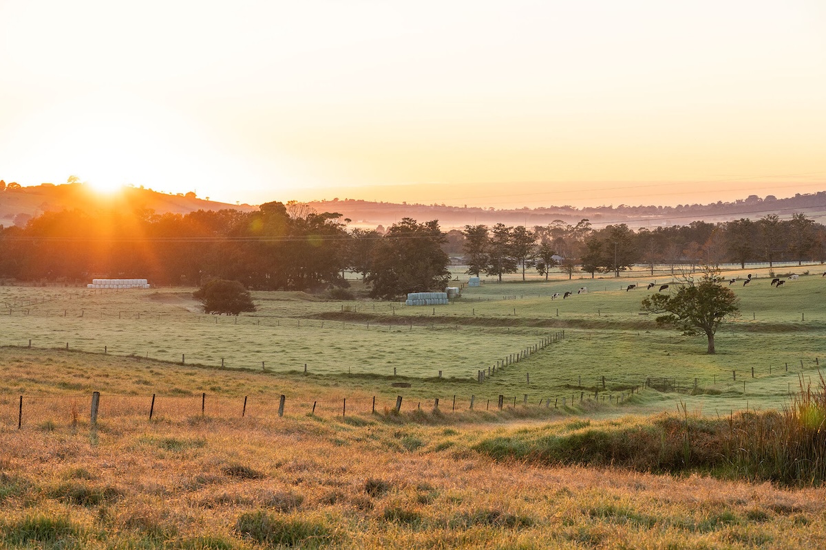 Golden Valley Estate - Jamberoo