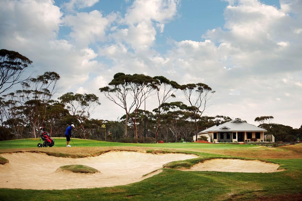GreenView Estate - Karlkurla
