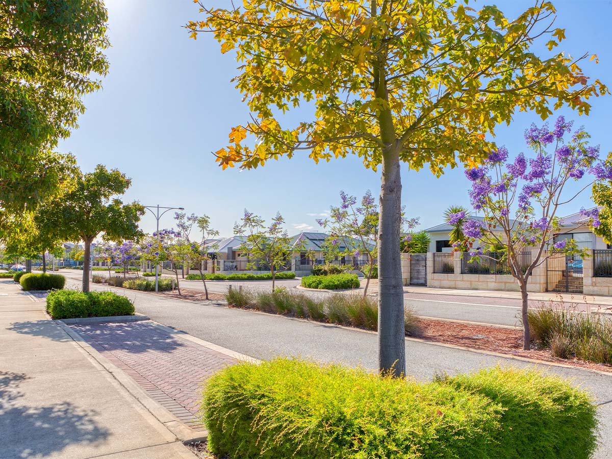 Harrisdale Green Estate - Harrisda Lifestyle