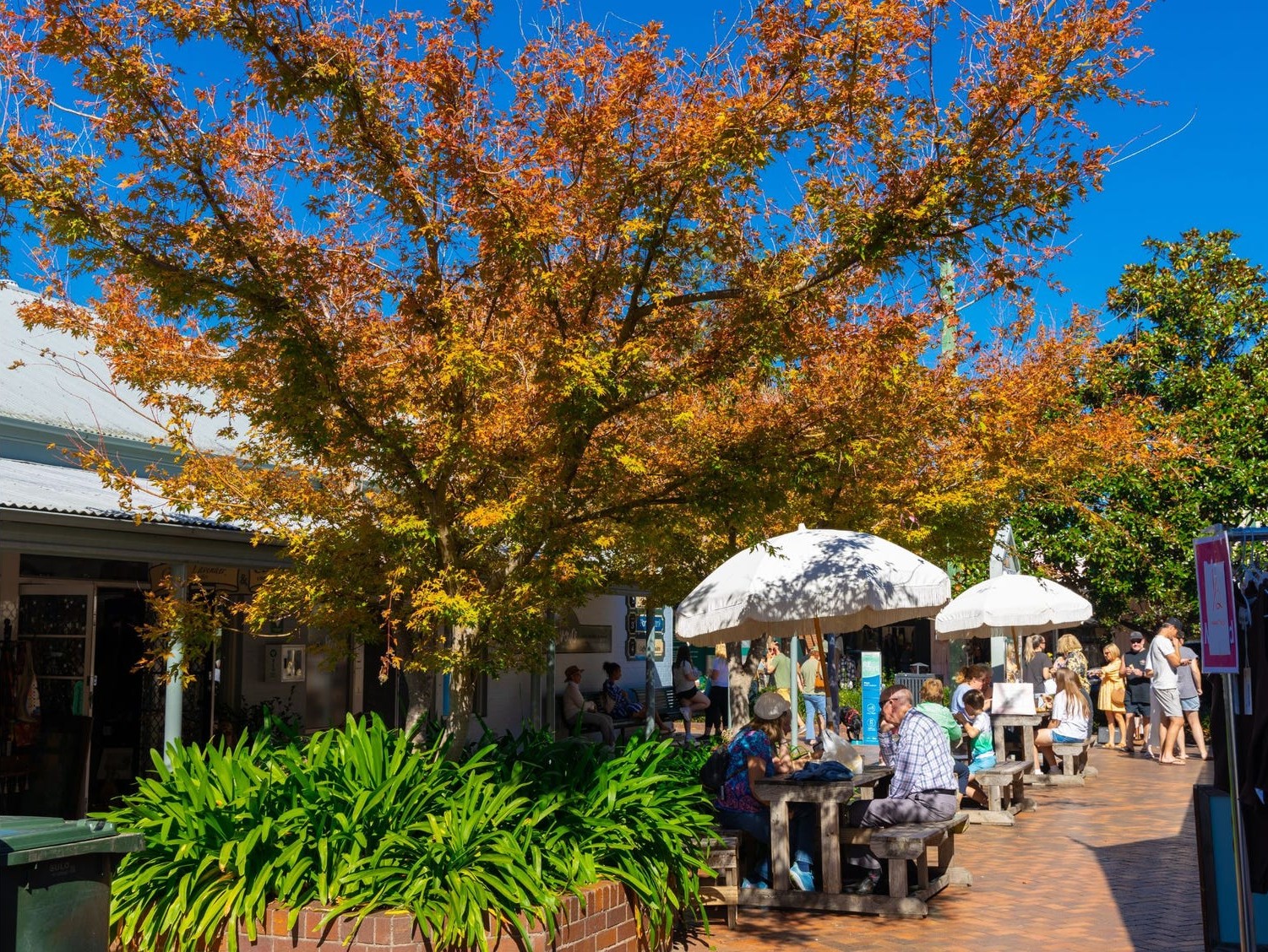 Haven Estate - Cambewarra