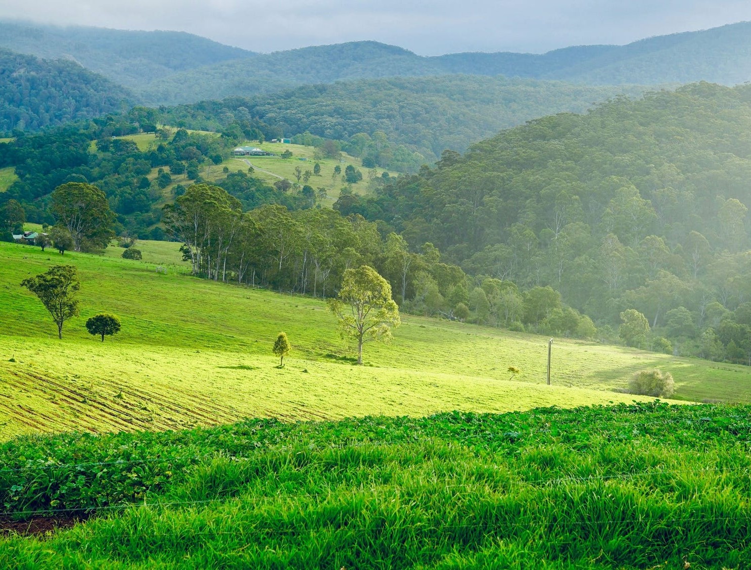 Haven Estate - Cambewarra