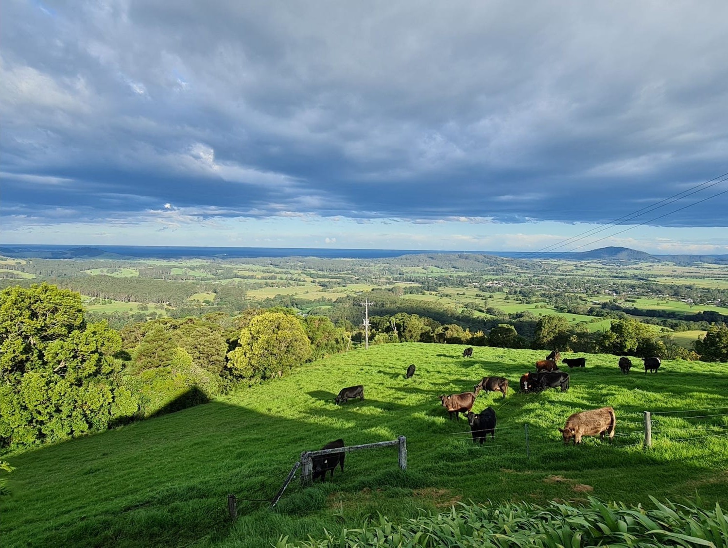 Haven Estate - Cambewarra