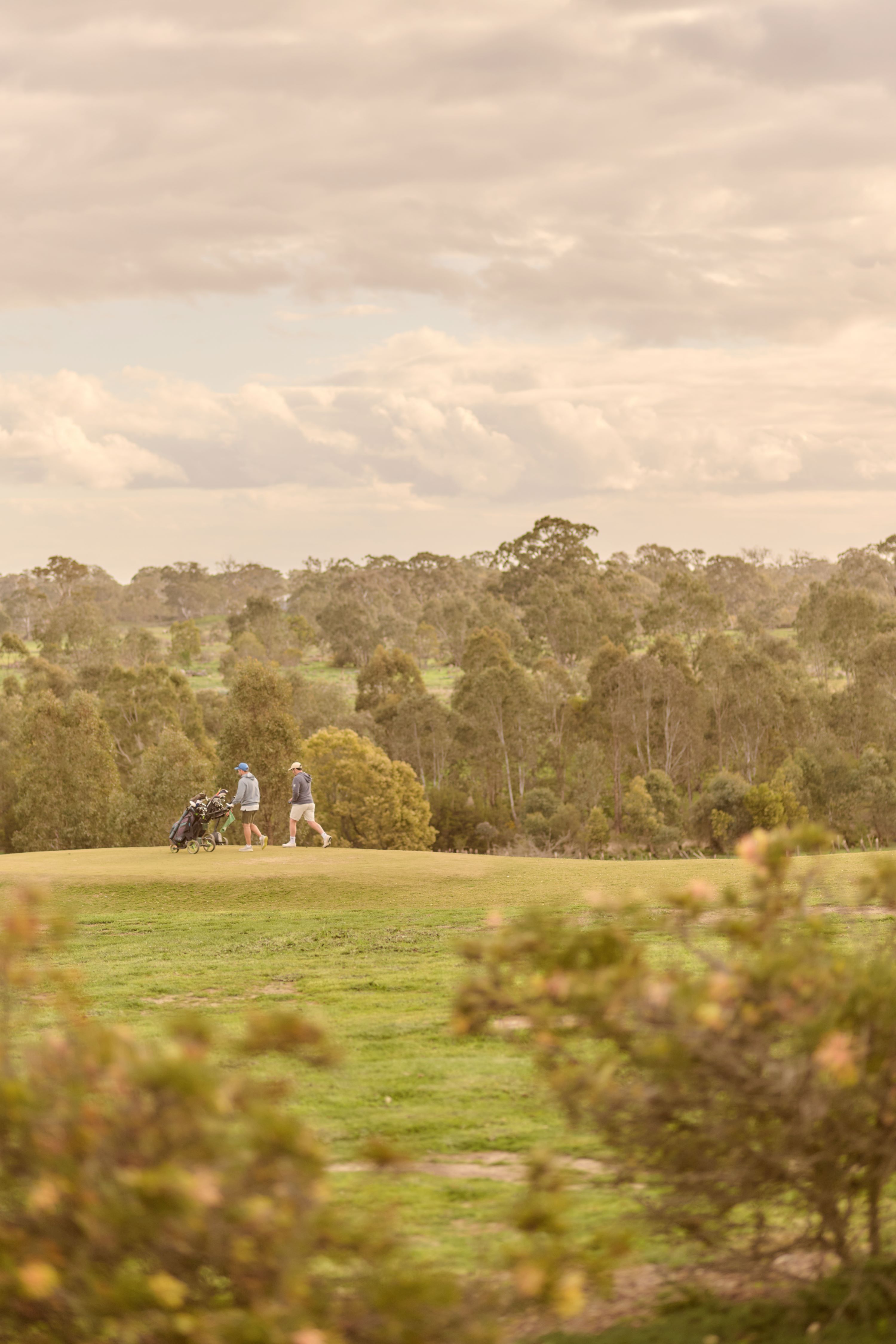 Heartford Estate - Donnybrook