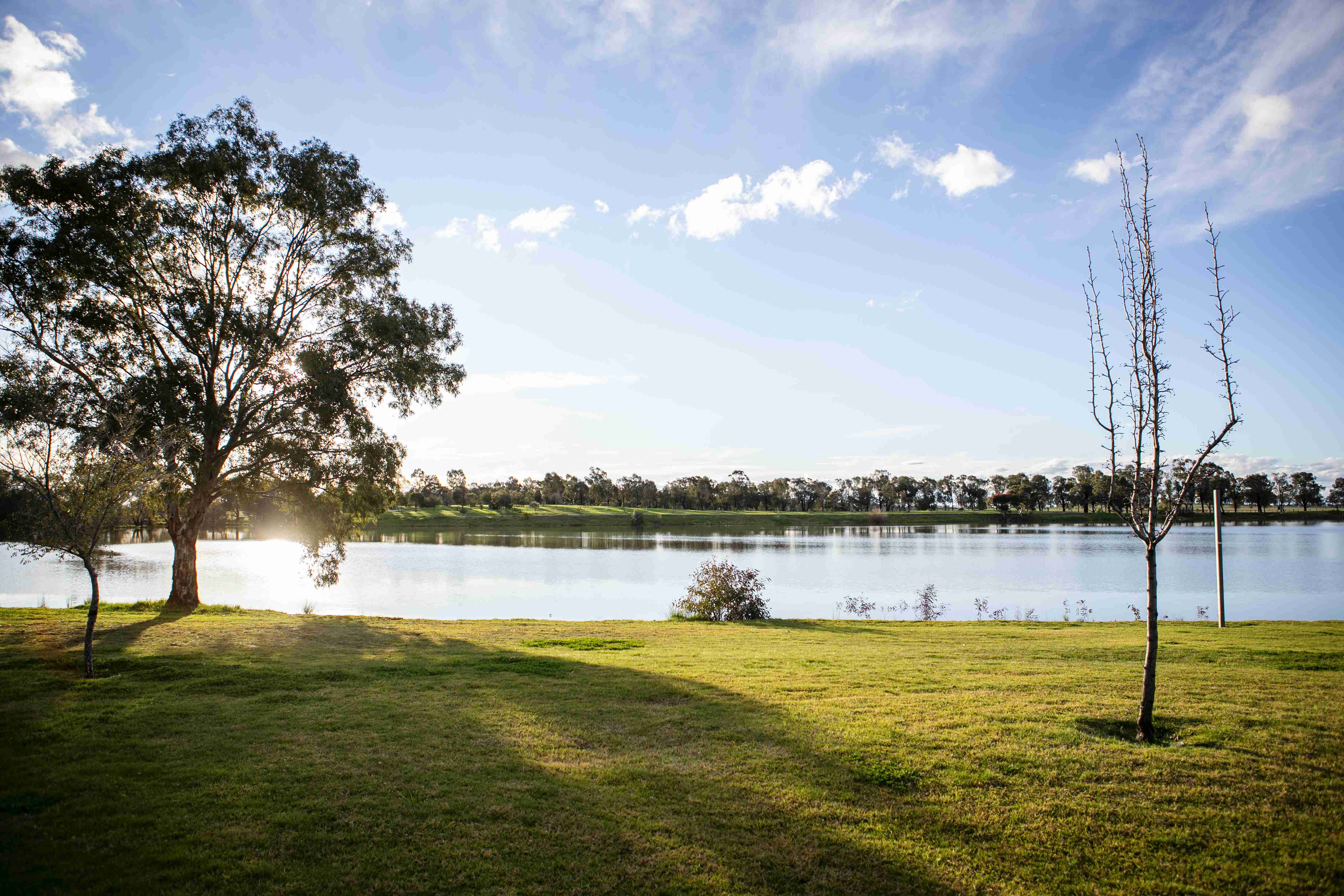 Highfields Estate - Temora 