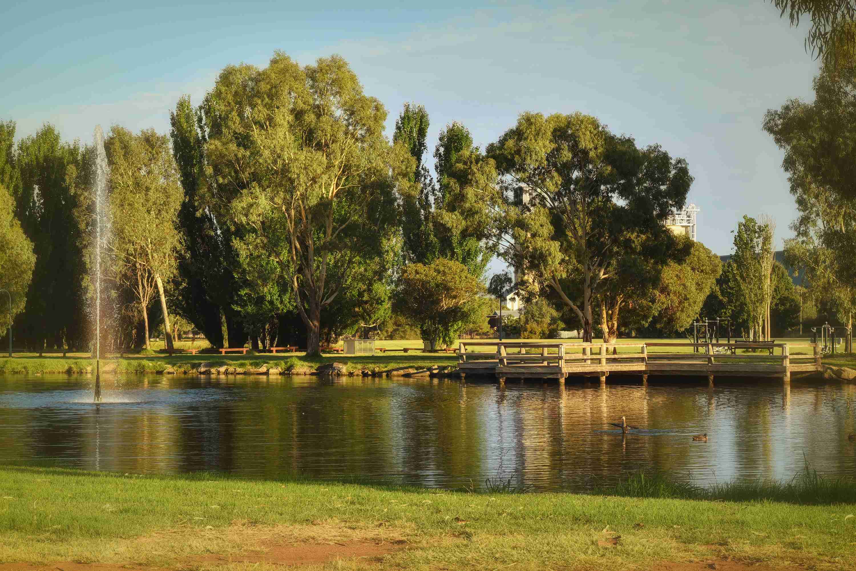 Highfields Estate - Temora 