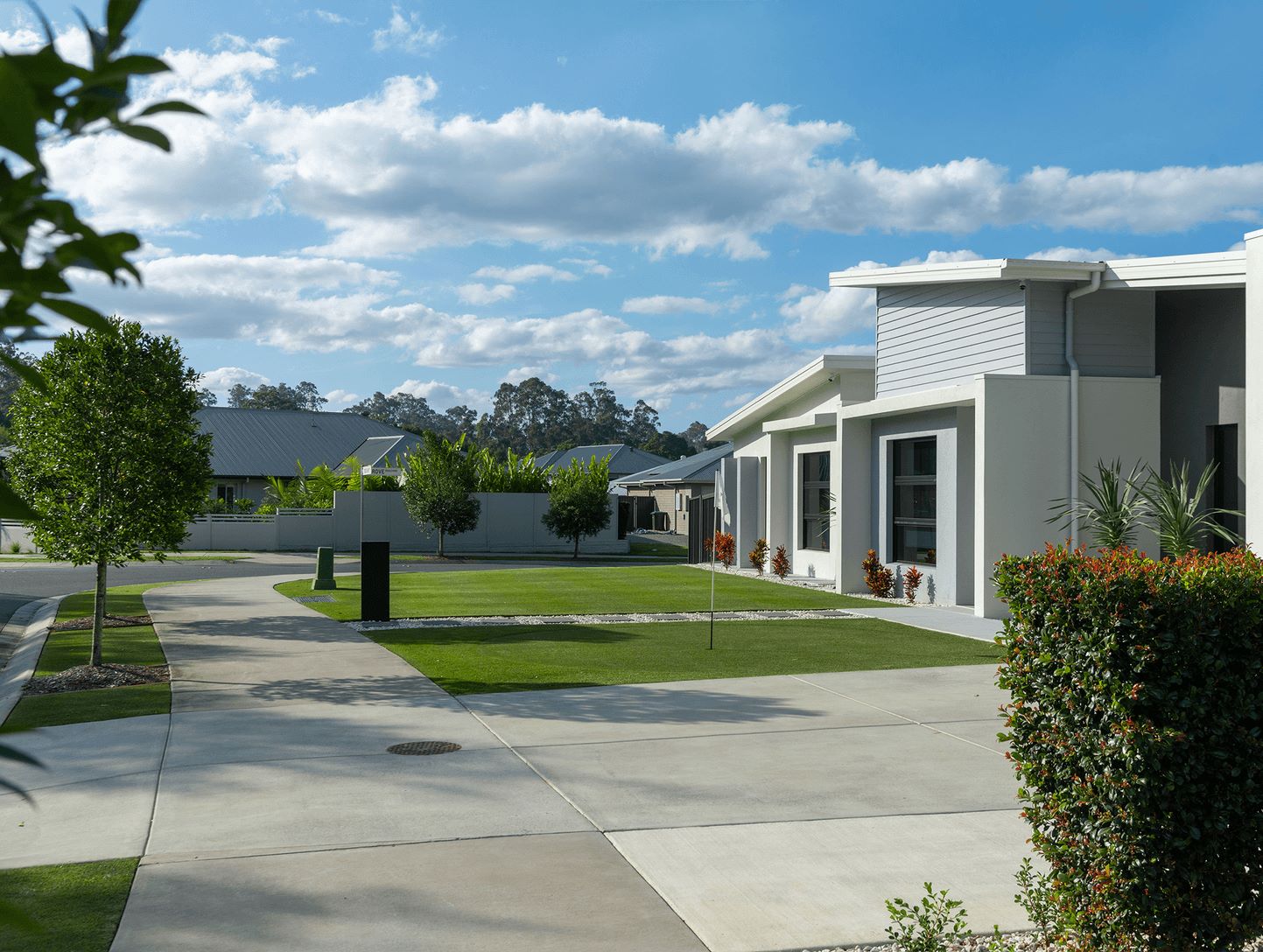 Hillside Estate - Mooloolah Valley Render