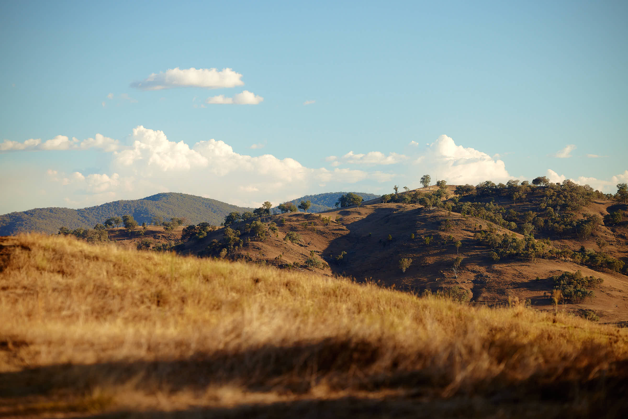 Hilltops Estate - Thurgoona Masterplan