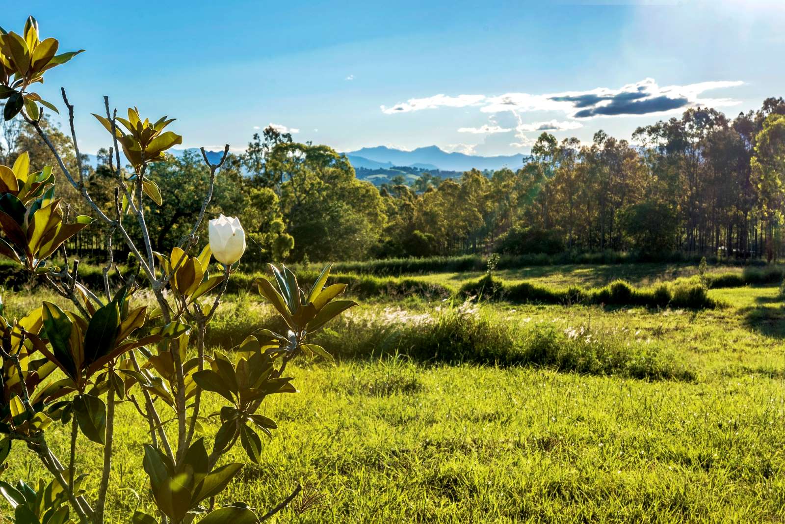 Hillview Estate - Boonah