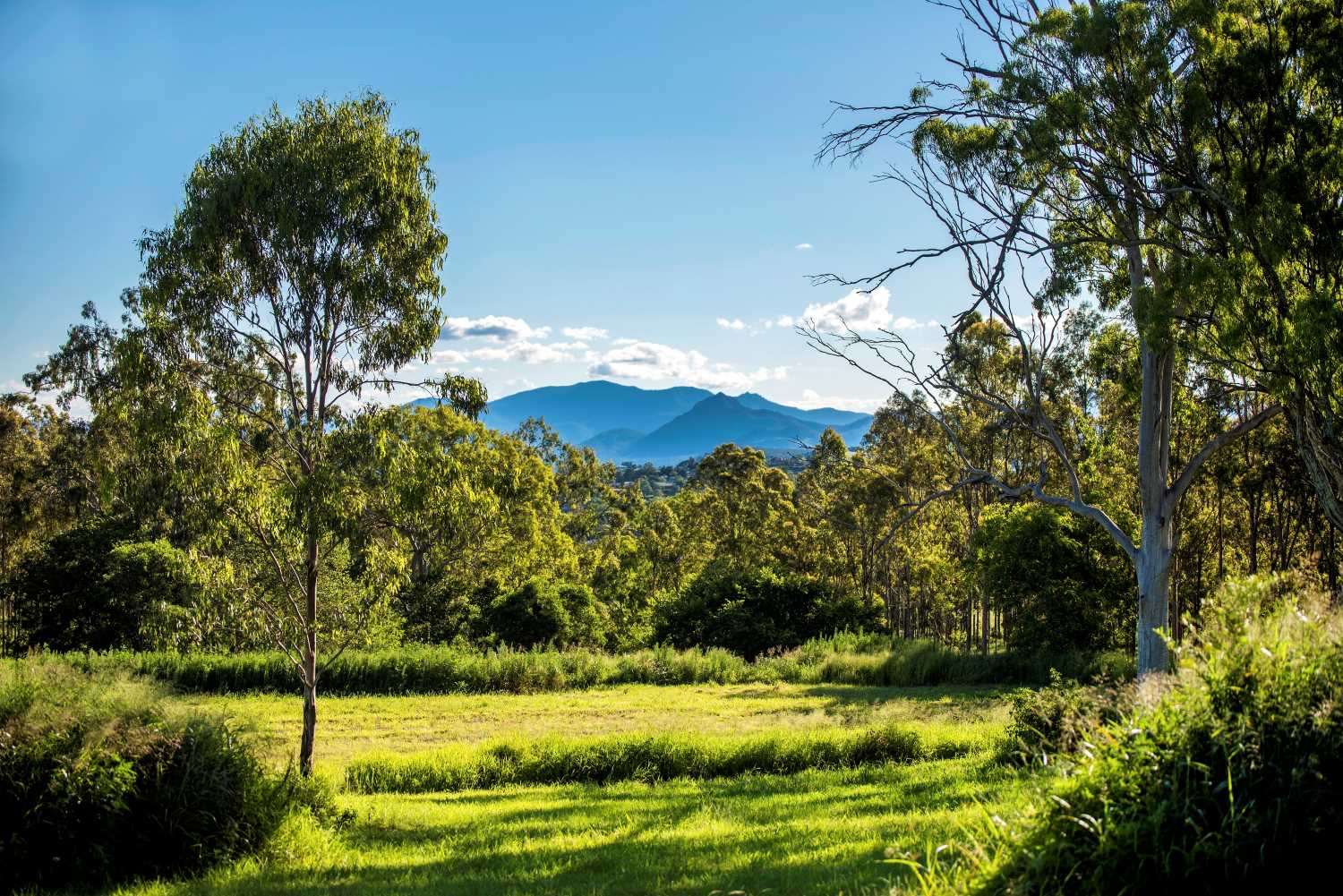 Hillview Estate - Boonah