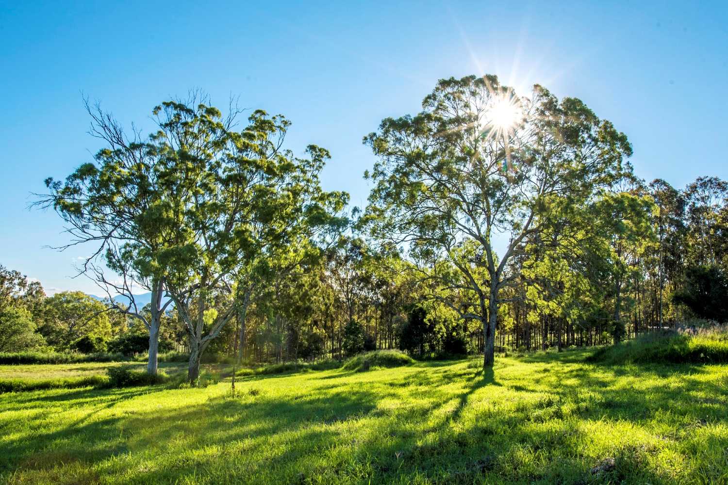 Hillview Estate - Boonah