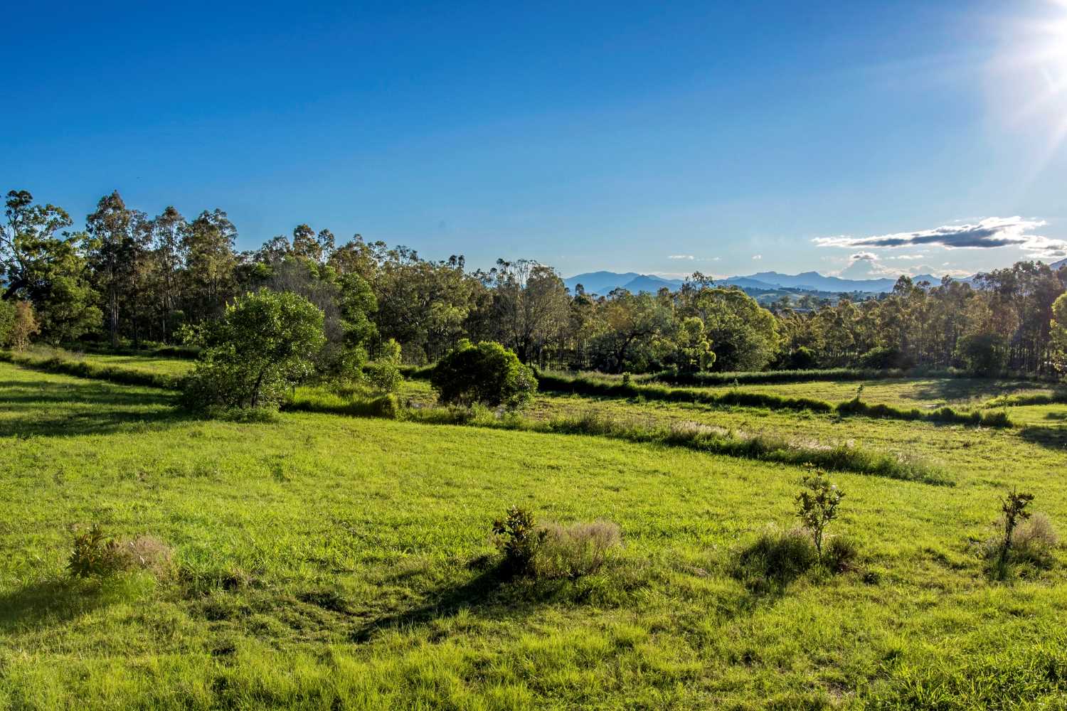 Hillview Estate - Boonah