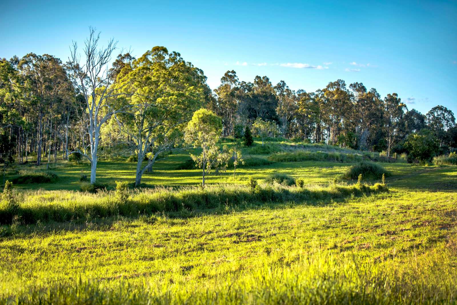 Hillview Estate - Boonah