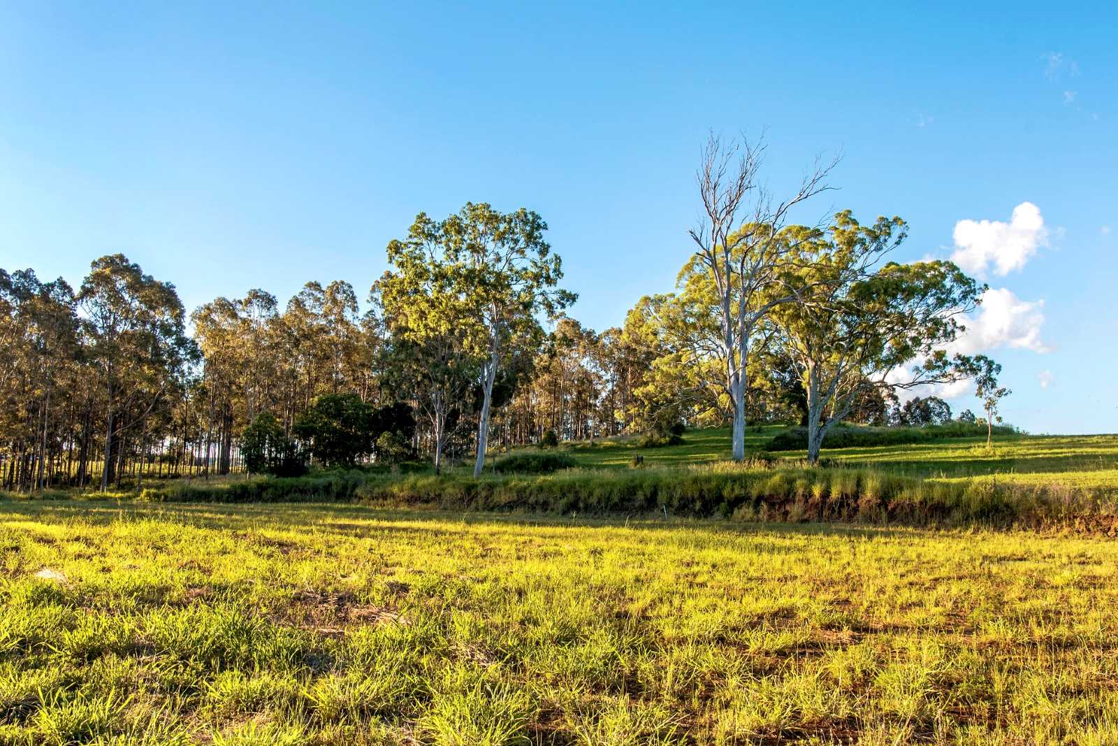 Hillview Estate - Boonah