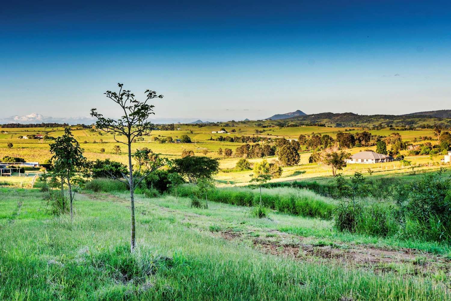 Hillview Estate - Boonah