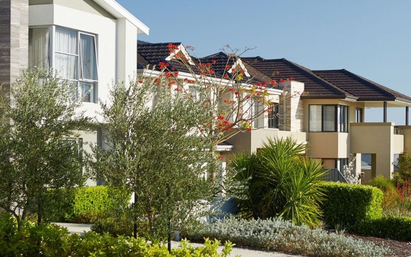 Honeywood Estate - Wandi___1680664333_0.jpg
