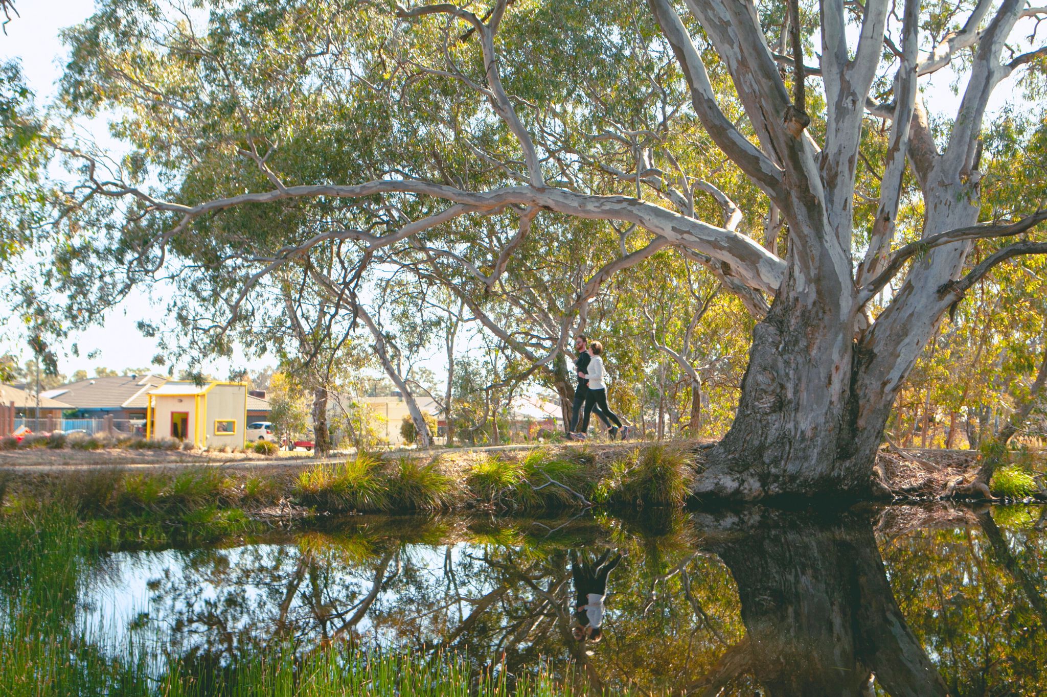 Imagine Estate - Strathfieldsaye 