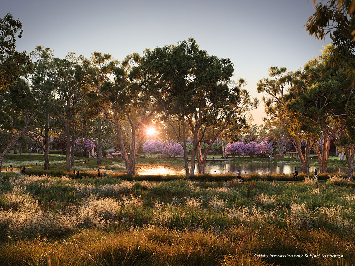 Jacaranda - Glossodia Render