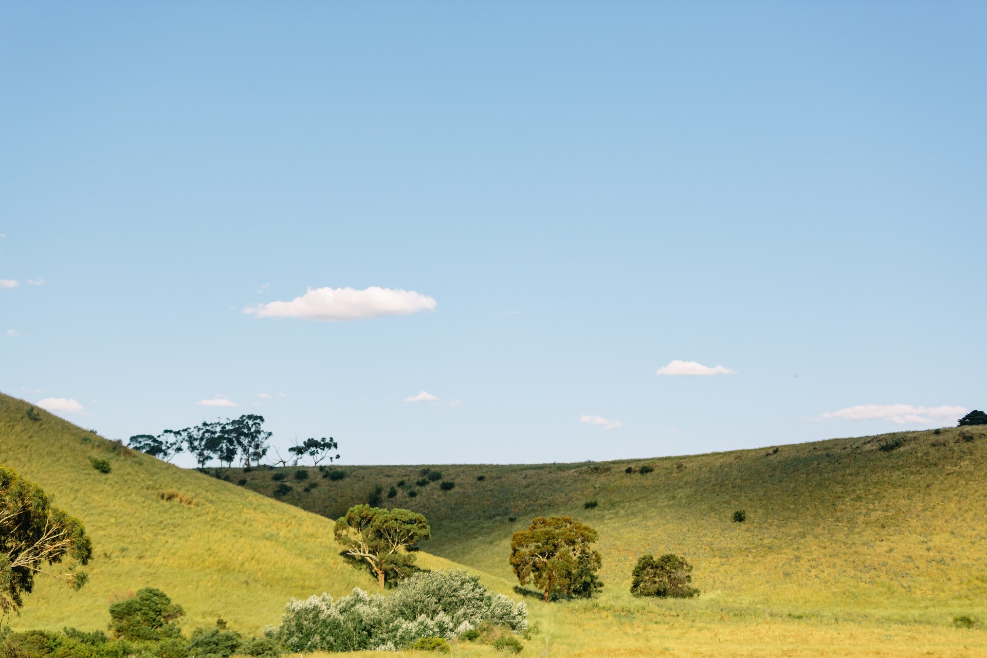 Kimberley Estate - Sunbury