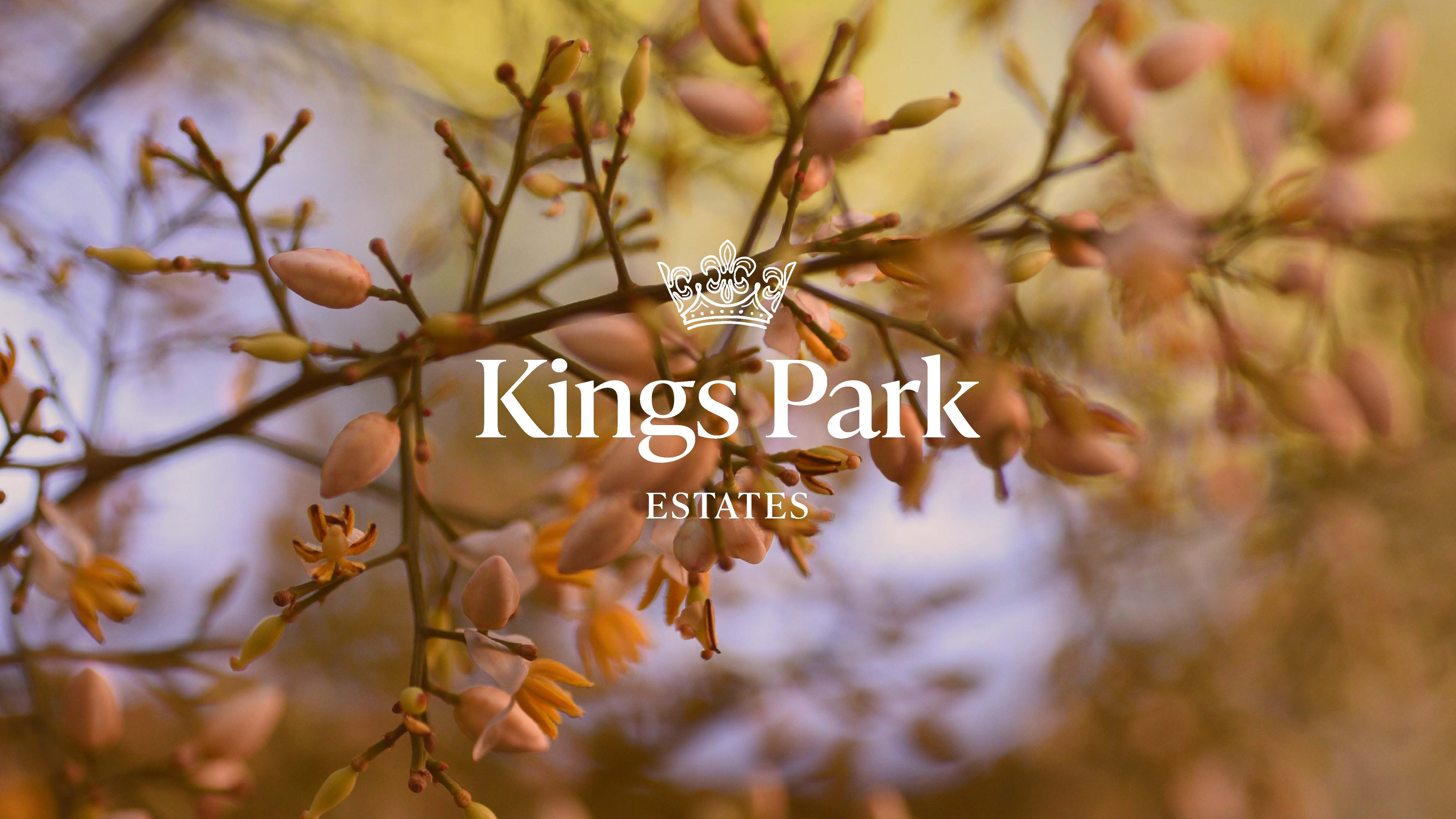 Kings Park Estate - Oakey Other