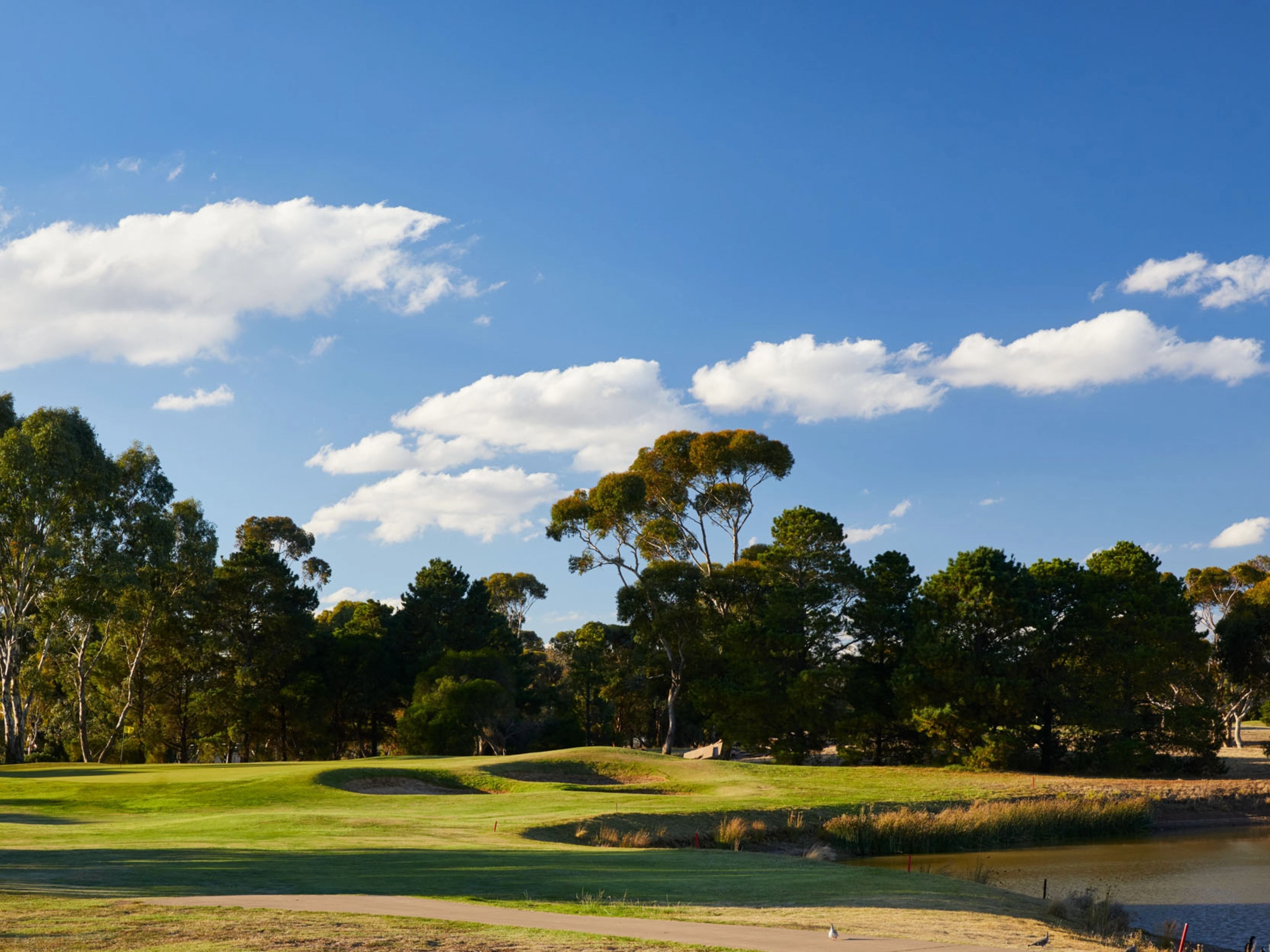 Kingsfield - Sunbury