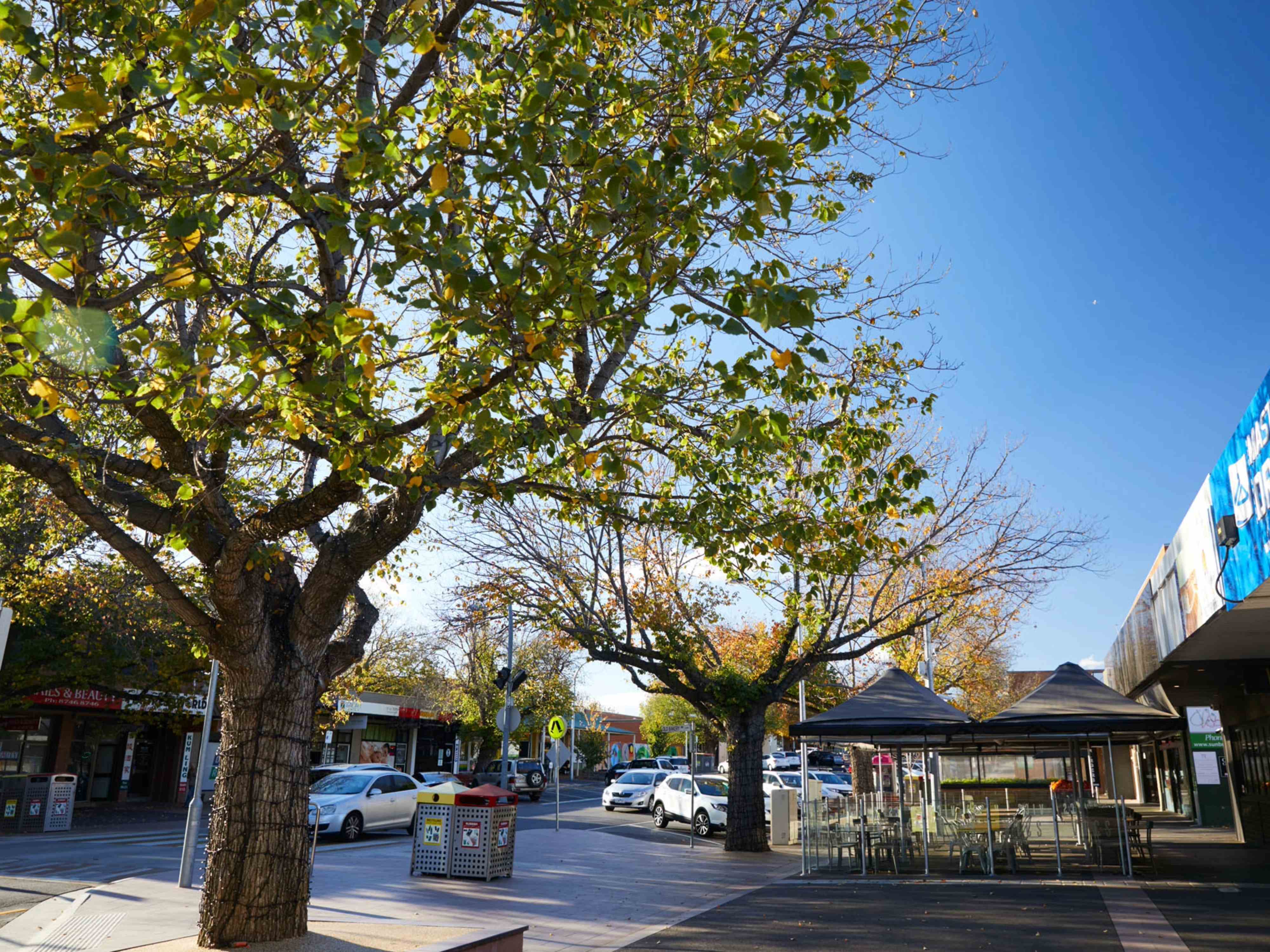 Kingsfield - Sunbury