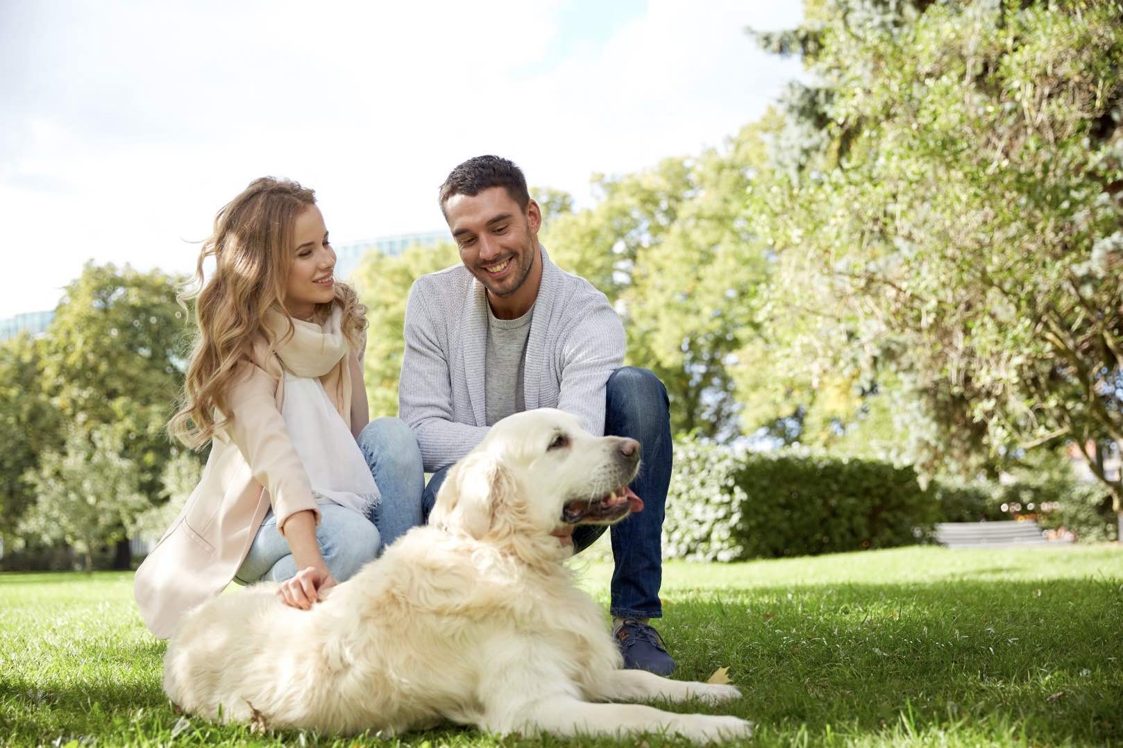 Lomandra Park Estate - Bridgeman Downs