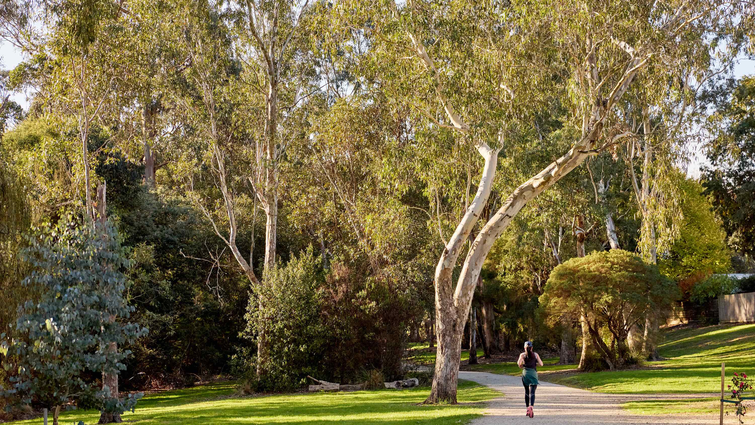 Loom Estate - Warragul Lifestyle