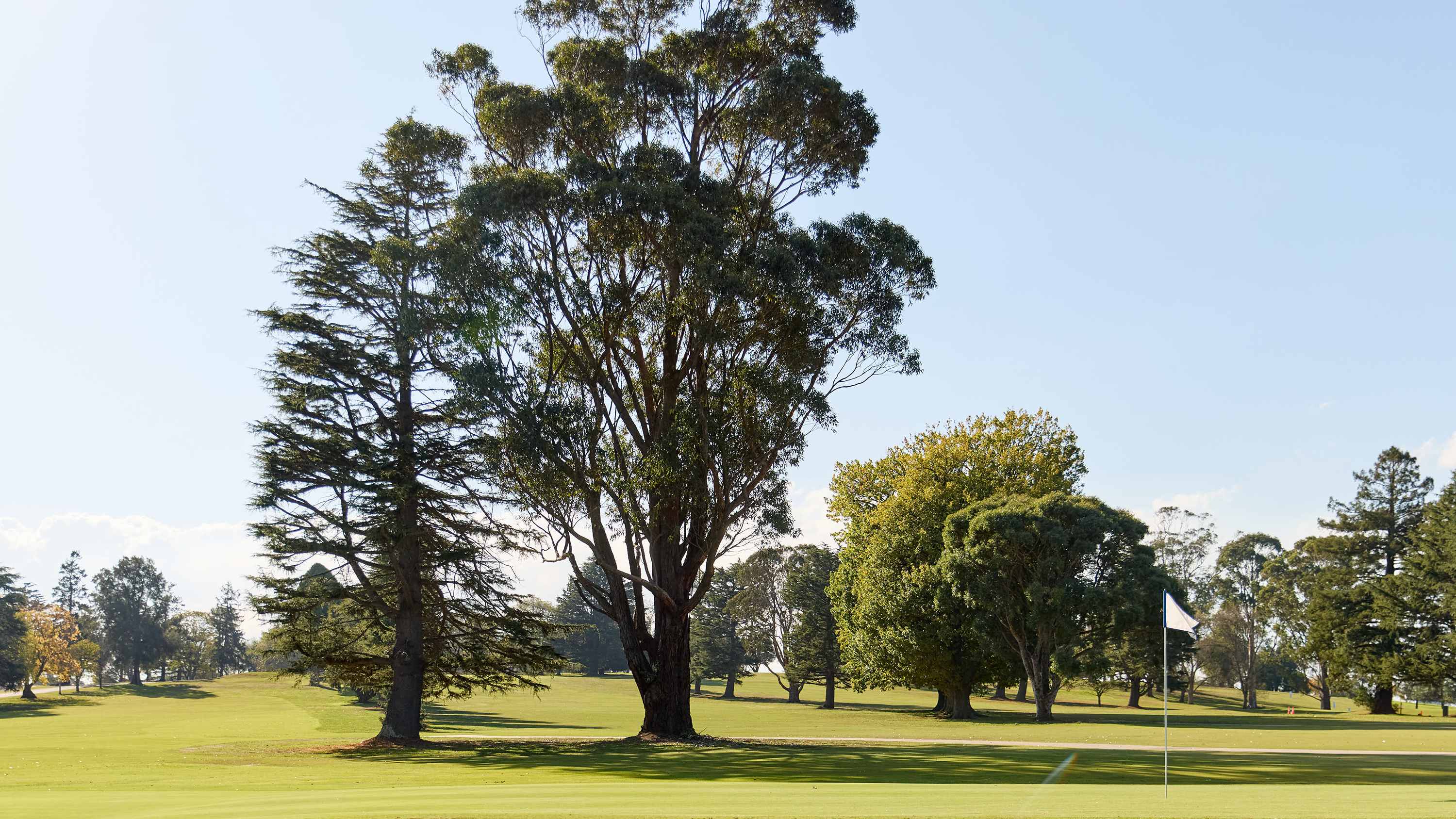 Loom Estate - Warragul Lifestyle