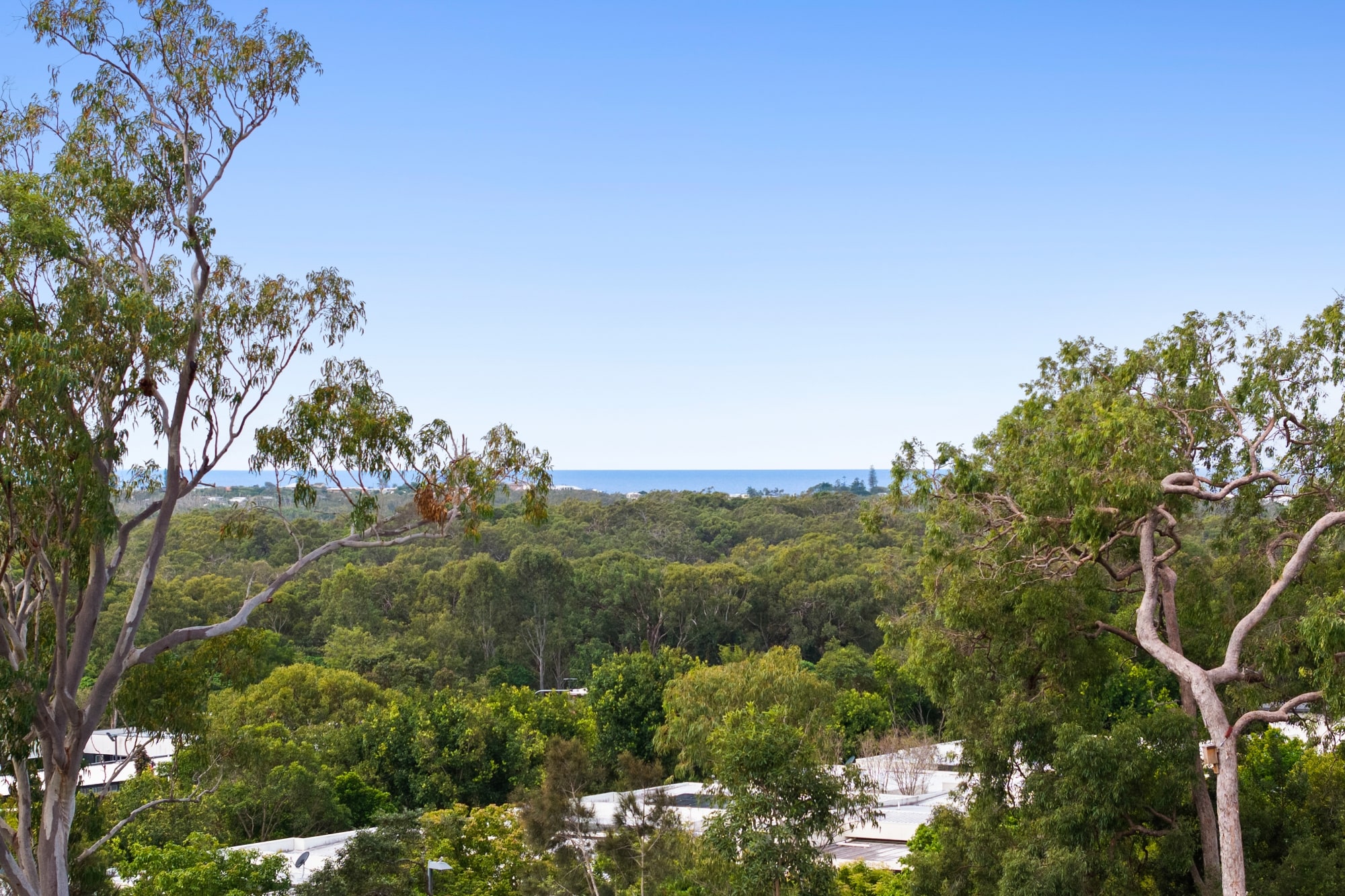 Lumeah Estate - Peregian Springs 