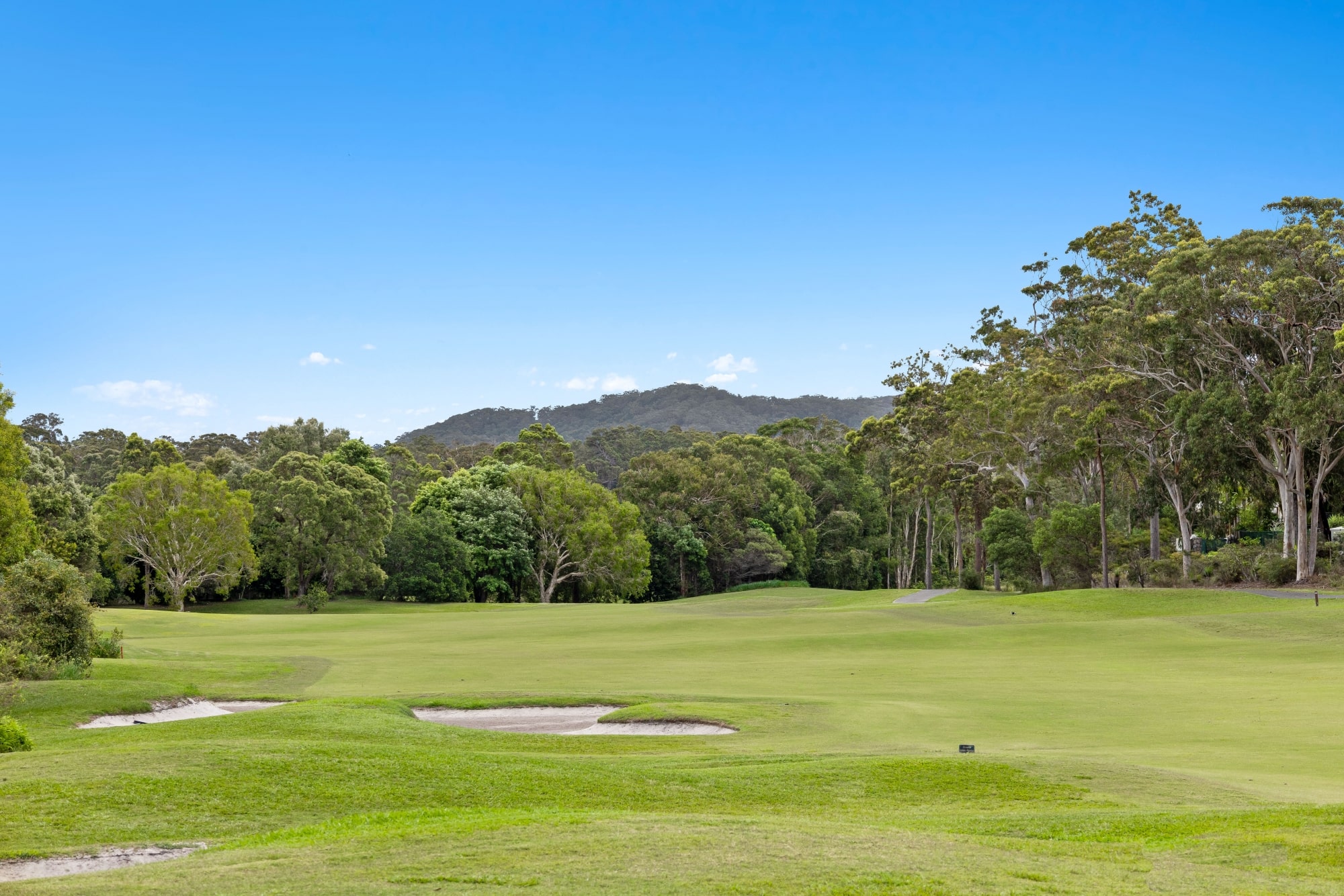 Lumeah Estate - Peregian Spring Amenities
