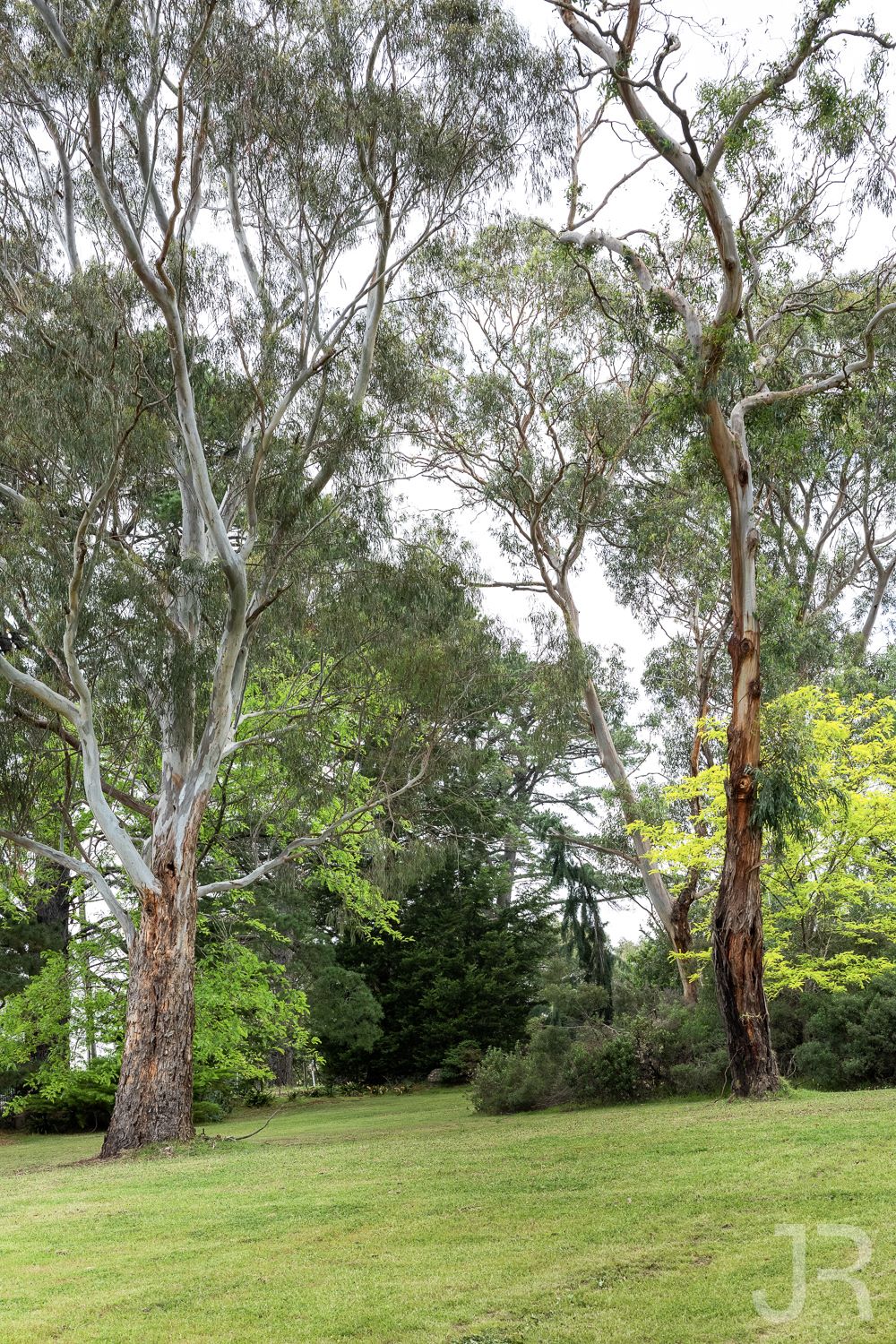 Mannahaven Close Estate - Endeavour Hills Streetscape