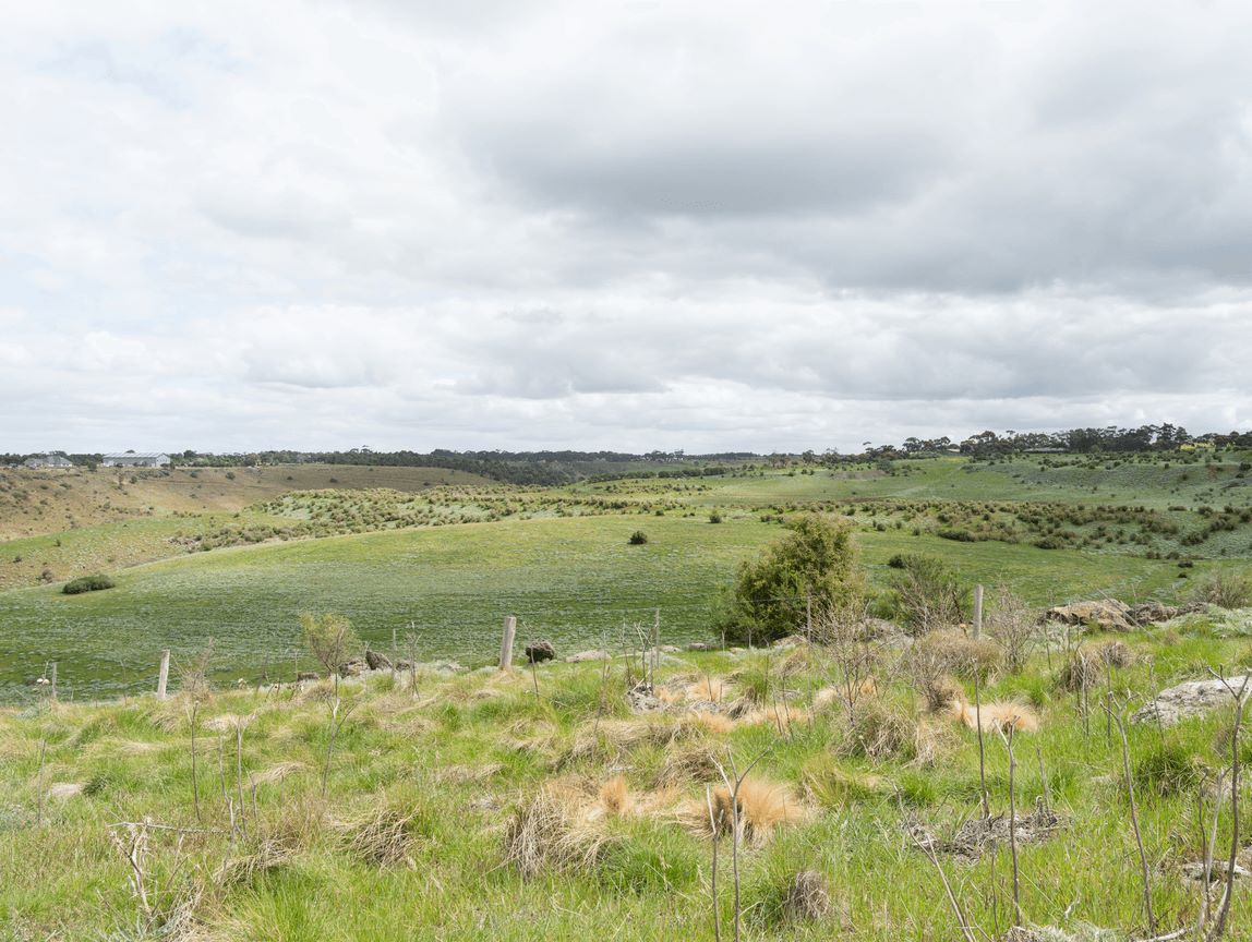 Maplestone Estate - Sunbury Aerial