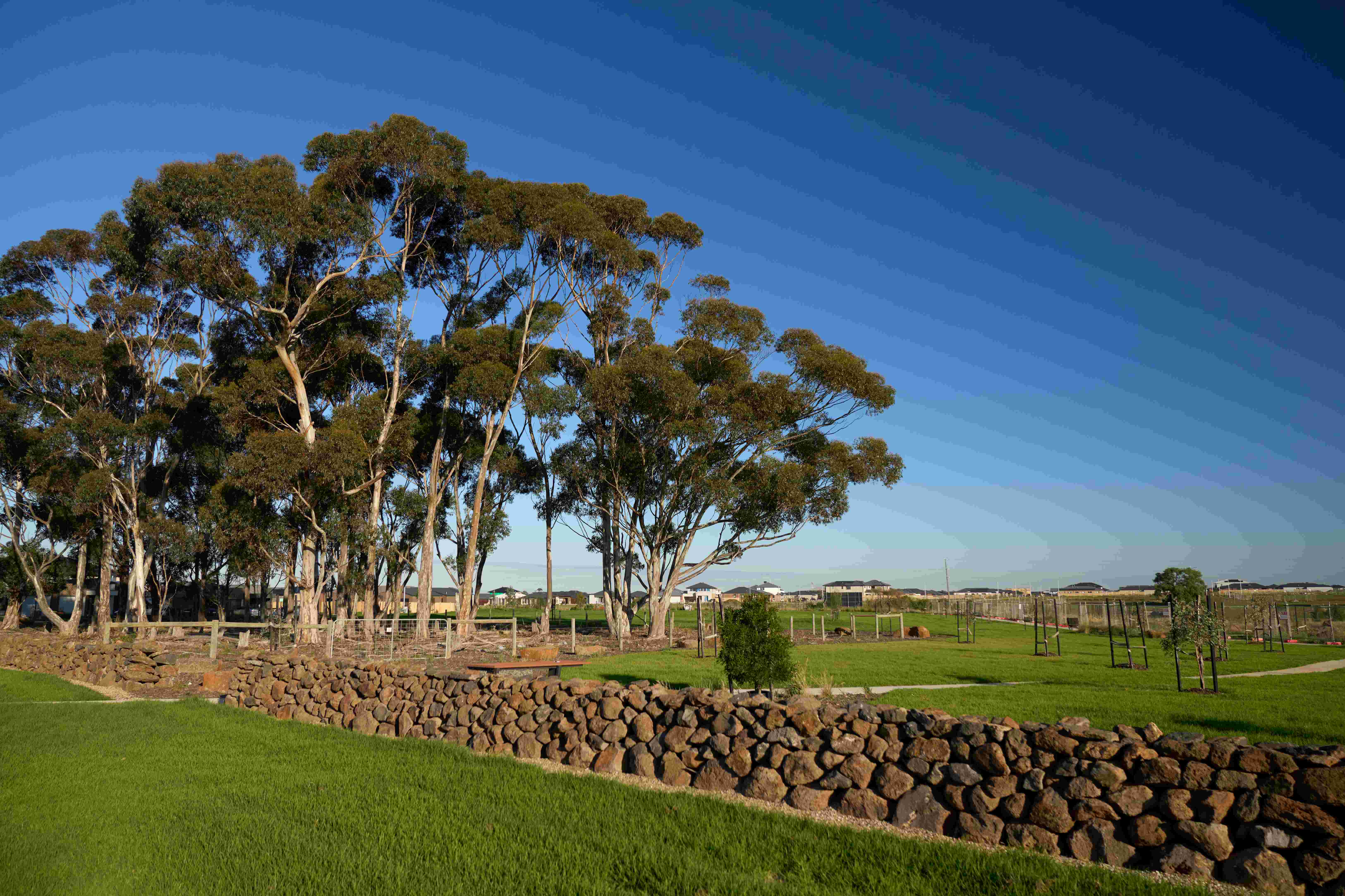 Marigold Estate - Tarneit Park