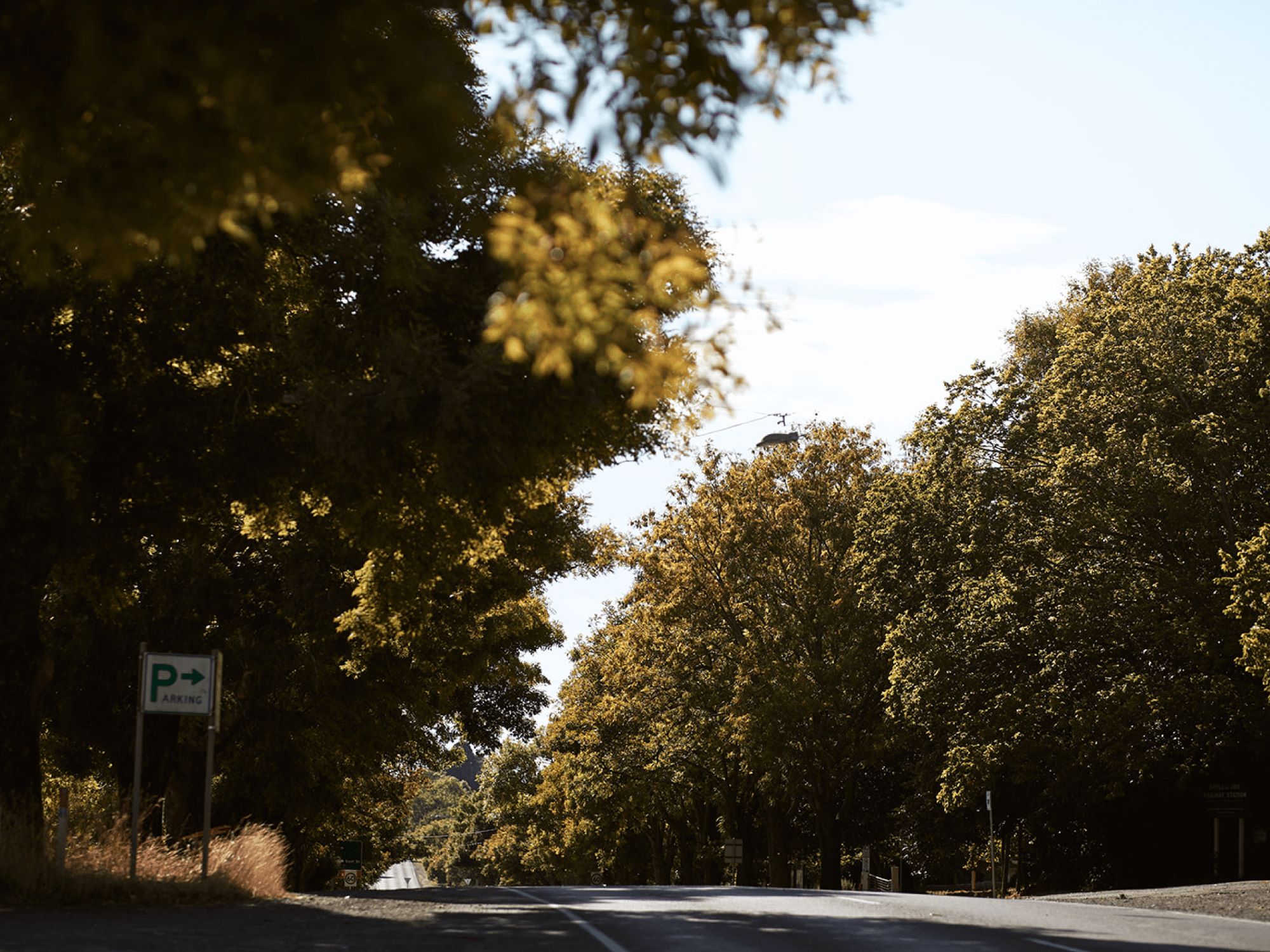 Middleton Field Estate - Daylesford Lifestyle