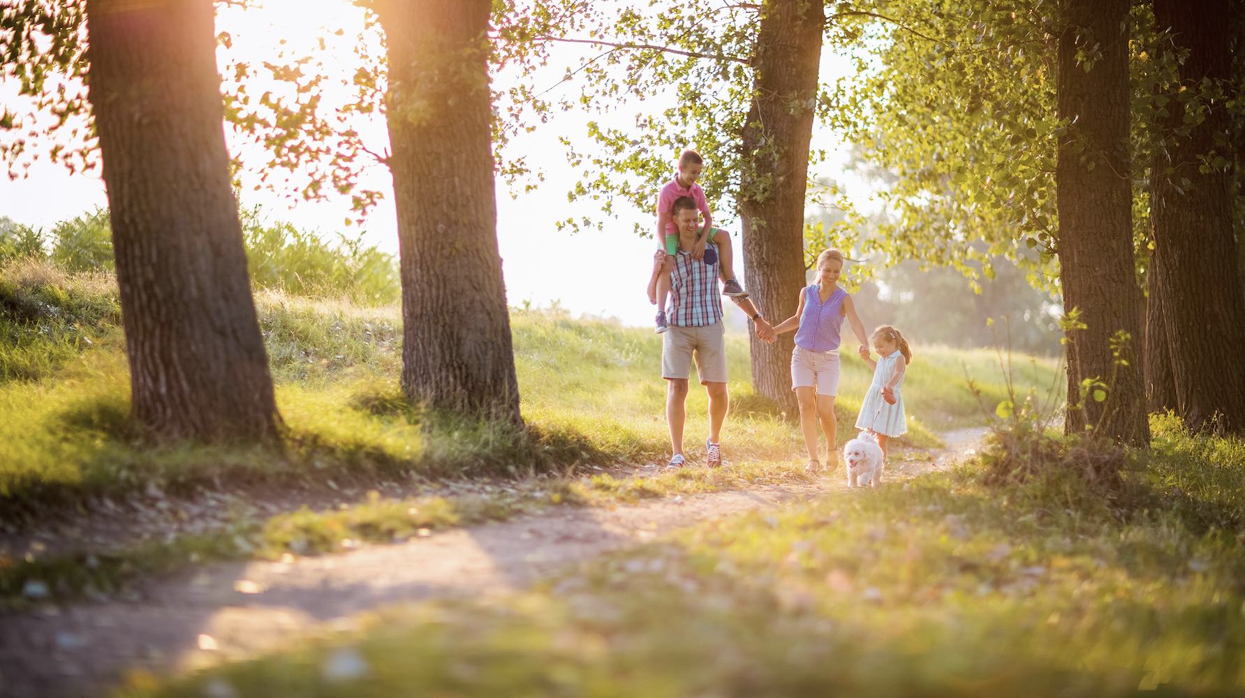 Mirragan Estate - Silverdale Lifestyle