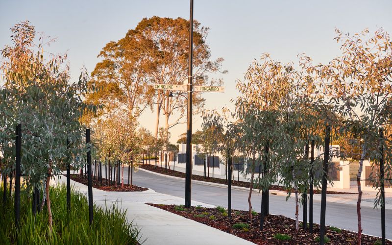 Myella Estate - Wanneroo